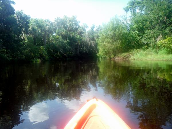 kayaking Peace River