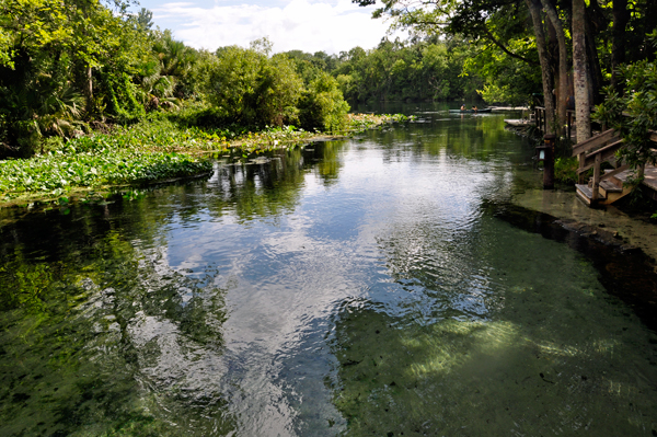 natural spring at Wekiwa Springs State Park