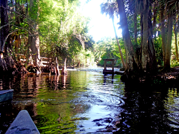 Loxahatchee River