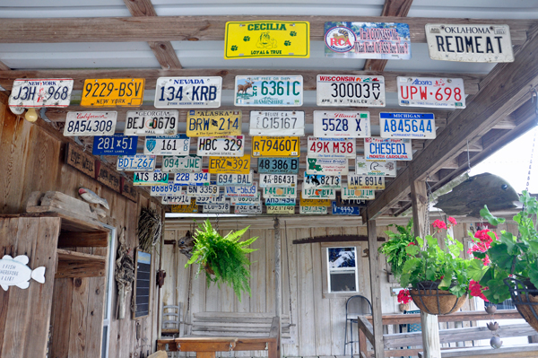 hanging License plates 