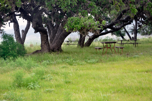 picnic tables