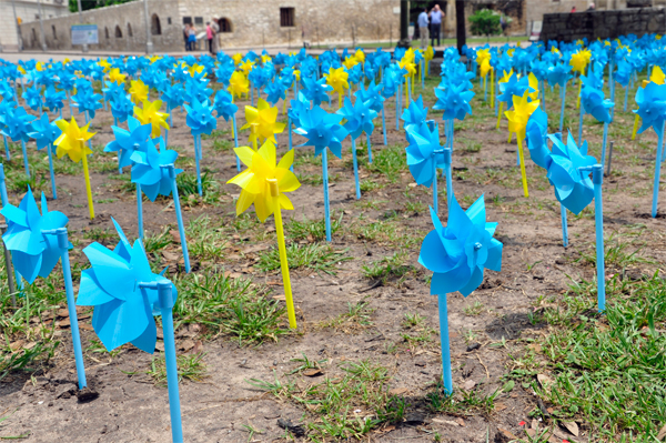 pinwheel garden