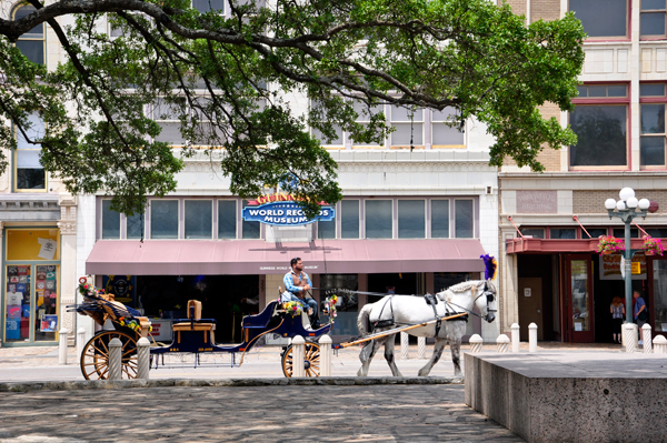 Horse and buggy ride