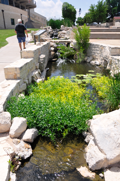 Lilly pond and small waterfall