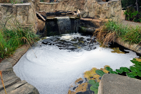 small waterfall and lily pond