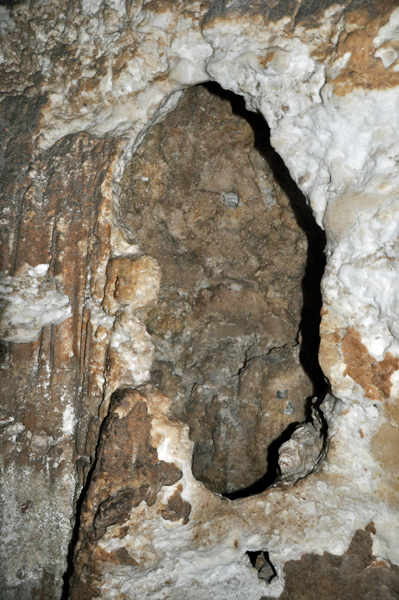 giant footprint