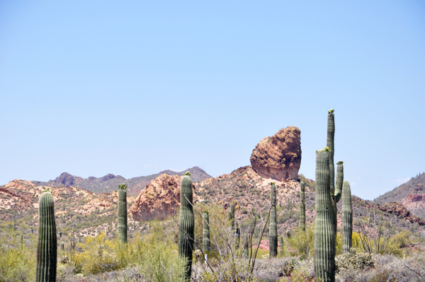 an interesting rock in Tonto National Forest