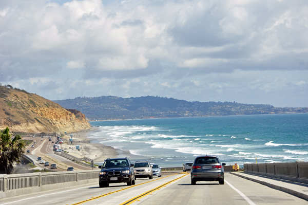 Torrey Pines State Beach