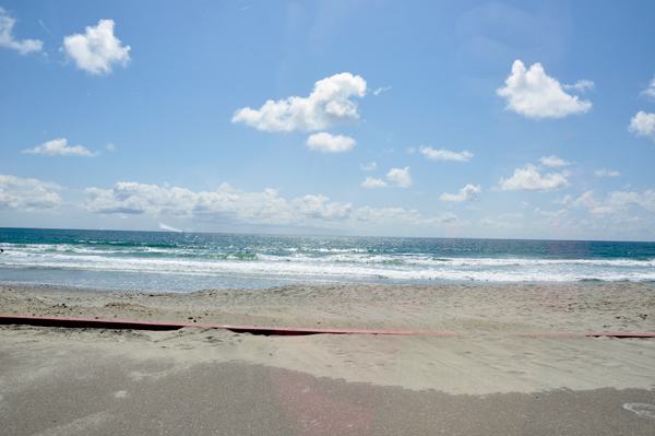 Torrey Pines State Beach