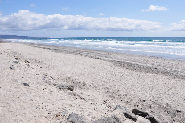 Torrey Pines State Beach