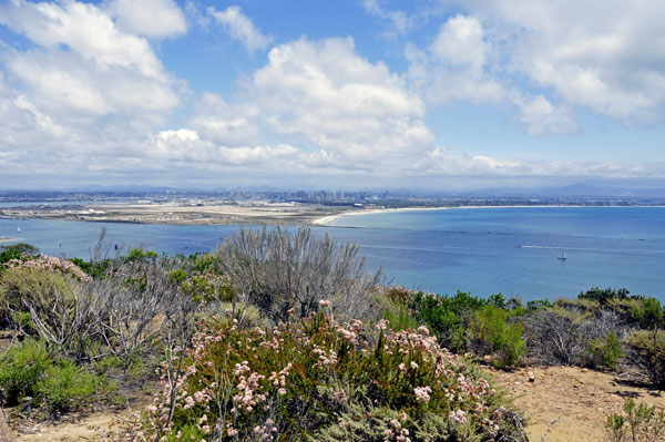 Harbor View