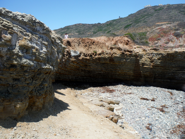 tidepool