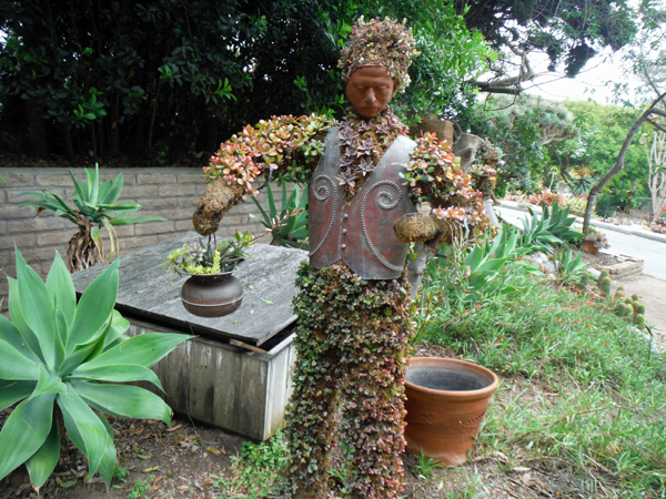 mariachi topiary