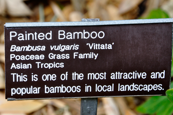 painted Bamboo sign