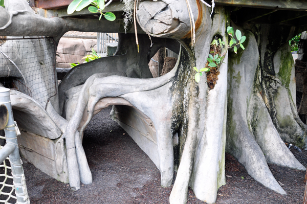 play area under the tree house