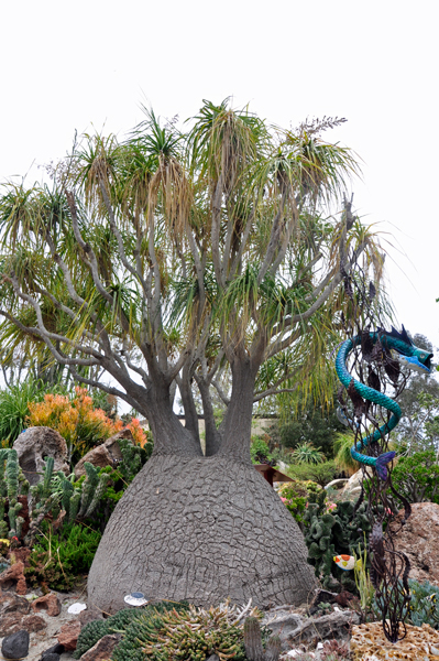 undersea garden tree