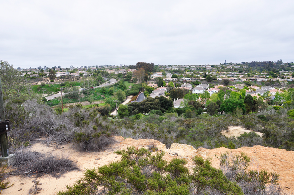 view from the tower