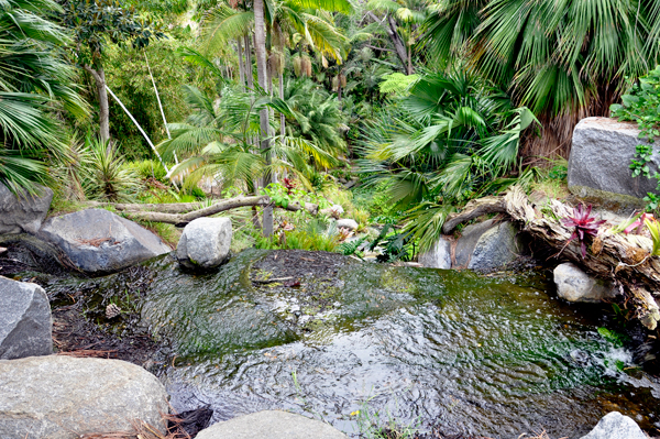 top of the waterfall