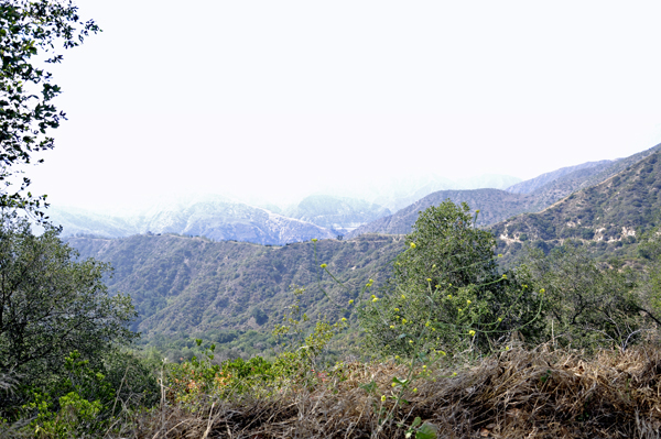 scenery at Mt. Baldy