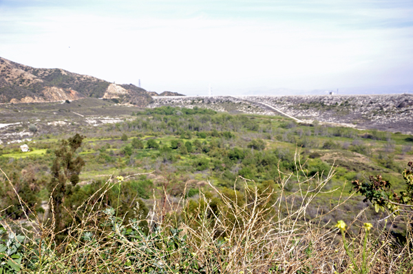 scenery at Mt. Baldy