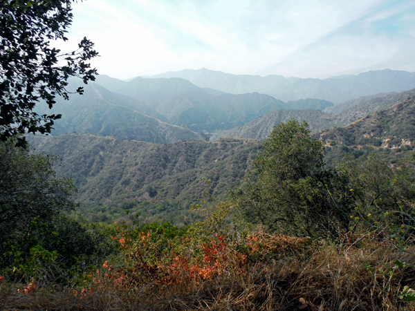 Mt. Baldy scenery 