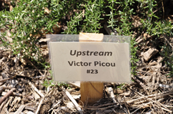 Upstream art sign