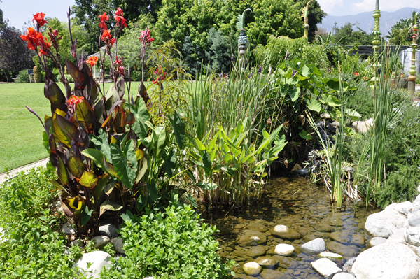 flowers and flowing water