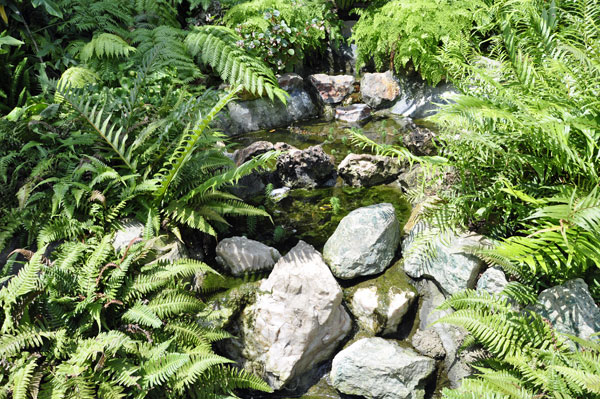 rocks and water