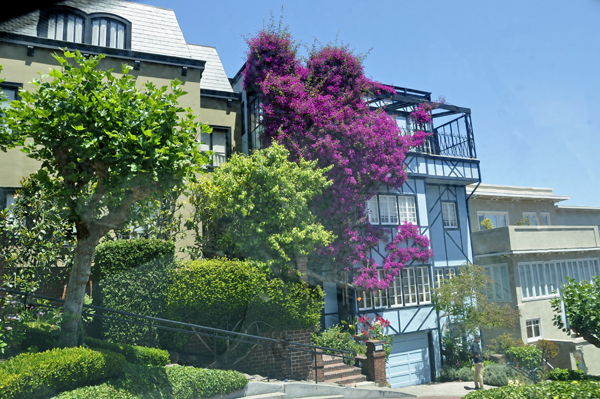 houses on the zig-zag street