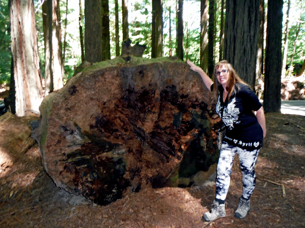 Karen Duquette and root stumps