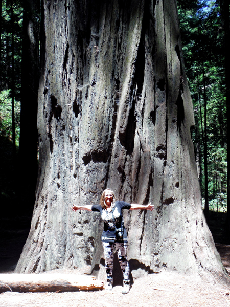 Karen Duquette and a huge tree