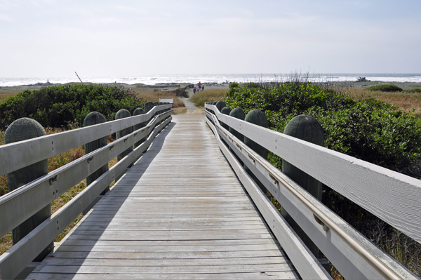 boardwalk