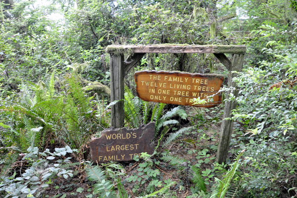 sign: World's largest family tree