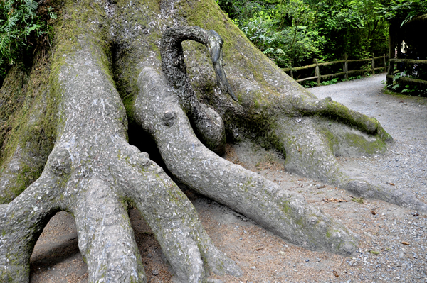 Elephant tree