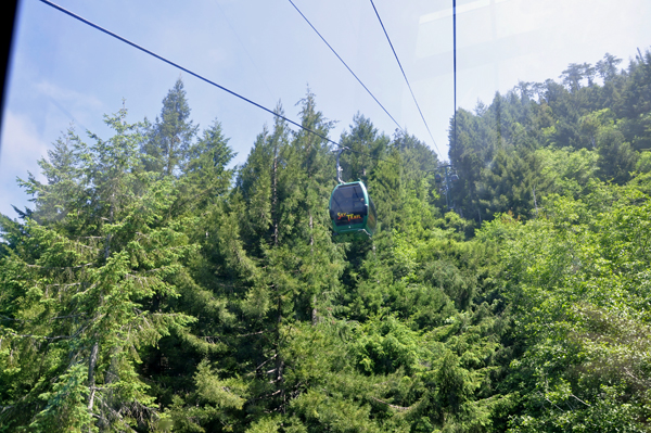 Sky Tram going through the trees