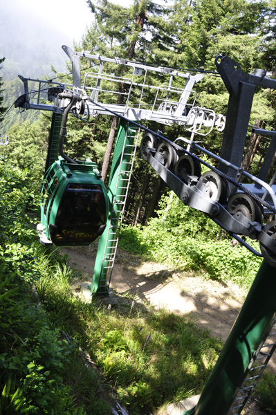 Sky Tram going through the trees