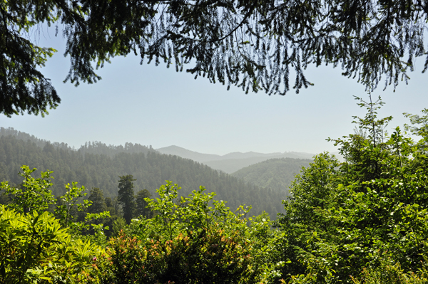 view of the mountains