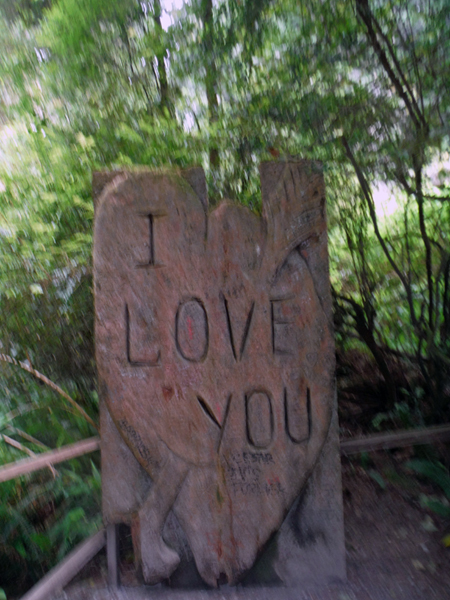 I love you sign