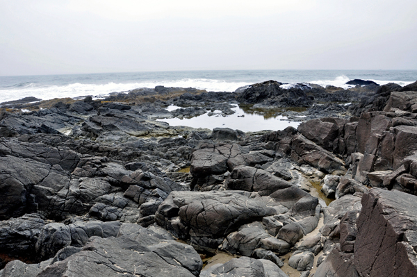 a small tide pool