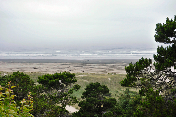 beach and the water