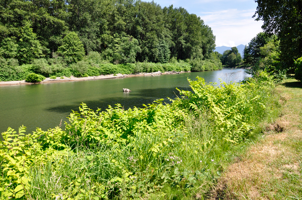 Snoqualmie River