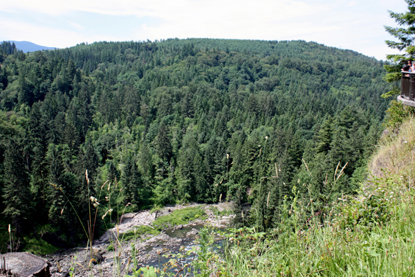 Looking down the cliff from the falls