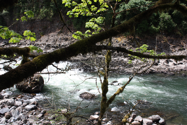 The narrow, but raging river