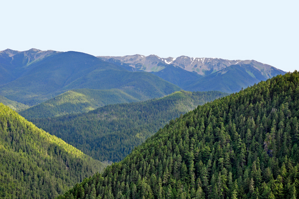 beautiful, peaceful scenery at Olympic National Park