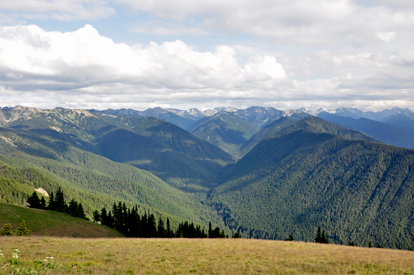 the rugged Olympic Mountains