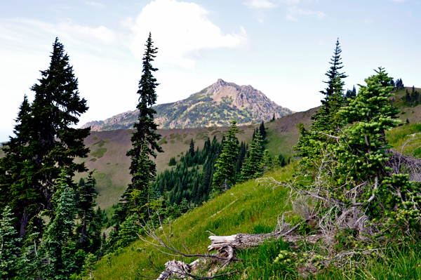 the rugged Olympic Mountains