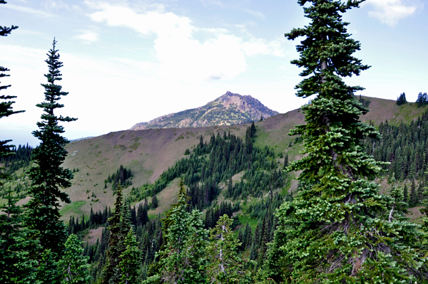 the rugged Olympic Mountains