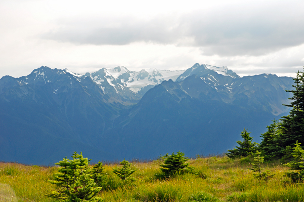 snow-capped mountain