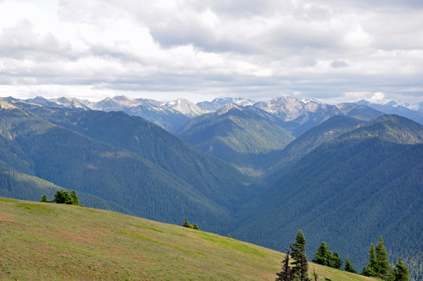 snow-capped mountain