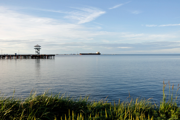 the tower as seen fron the Waterfront Trail